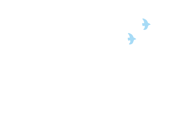 一般社団法人 いばらき出会いサポートセンター